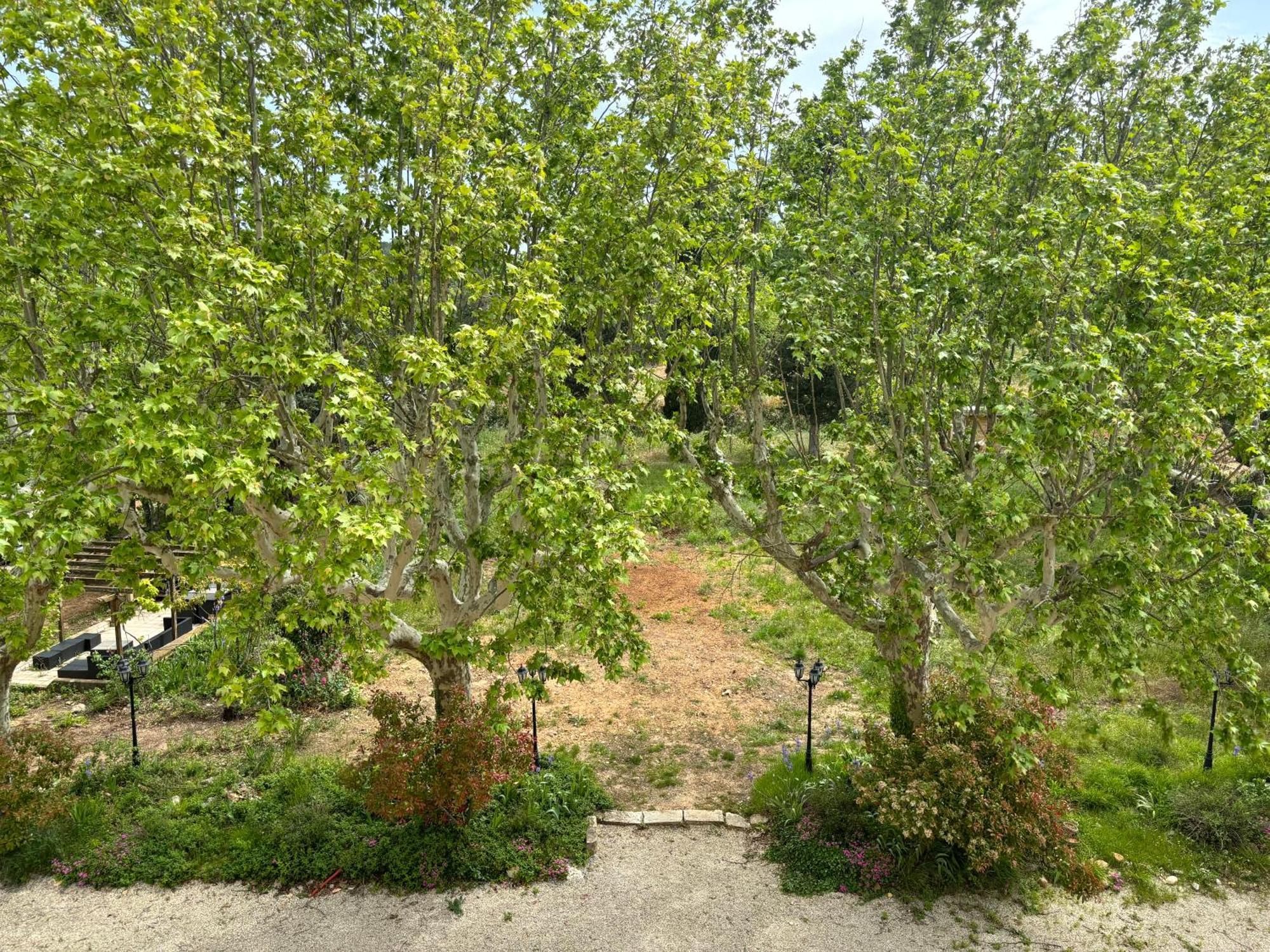 Appartement De Standing Dans Une Bastide Aixoise Aix-en-Provence Luaran gambar